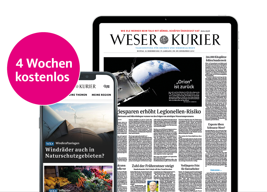 Digitale Zeitung Leseprobe