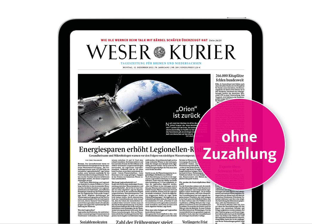 Die digitale Zeitung mit Apple iPad 11